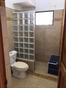 a bathroom with a toilet and a window at Hotel Plama Cana in Sosúa