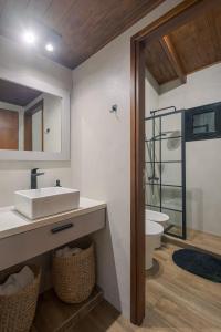 a bathroom with a sink and a toilet at Los Maitenes in San Martín de los Andes