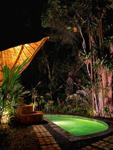 una pequeña piscina verde en un jardín por la noche en Bamboo House - Ecobreeze en Sidemen