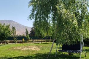 Vườn quanh escapada romántica de día en pareja +24 ảnh