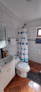 a bathroom with a toilet and a sink at cabaña los teros in Coihaique