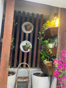 a wooden fence with plates and potted plants on it at Flat suítes mobiliados central in Araguaína