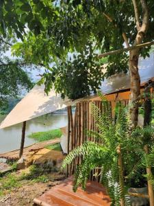 una casa con un árbol y un banco de madera en Kaitoon's River House en Ratchaburi