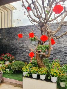 a display of flowers and plants in a store at Animor Green Home Villa Da Nang in Da Nang