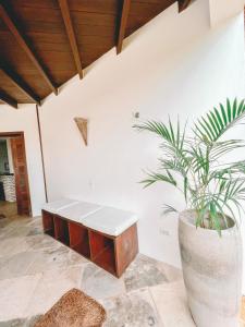 uma planta num vaso num quarto com um banco em Villa Fortal Preá em Praia do Preá