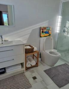 La salle de bains est pourvue de toilettes, d'un lavabo et d'une douche. dans l'établissement Luxury Beachside Home, à Maninoa