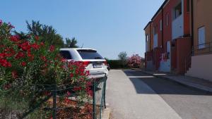 Fotografia z galérie ubytovania Apartments Henc v Novigrad Istria