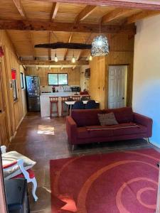 sala de estar con sofá y cocina en Hermosa cabaña en Valdivia en Valdivia