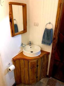 W łazience znajduje się umywalka i lustro. w obiekcie Hermosa cabaña en Valdivia w mieście Valdivia