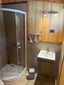 bagno con doccia e lavandino di Hermosa cabaña en Valdivia a Valdivia