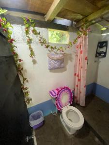 La salle de bains est pourvue de toilettes. dans l'établissement Cabaña Colibri naturaleza vista Laguna de la Cocha, à Pasto