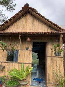 een klein houten huis met twee potplanten erop bij Homestay niem t'rị Măng Pên in Kon Von Kla