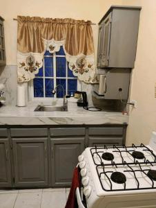 a kitchen with a stove and a sink at Cozy Oasis Studio in Portmore