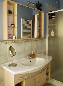 a bathroom with a sink and a mirror at Apartment with Garden in Romano di Lombardia