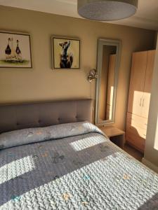1 dormitorio con 1 cama y 2 cuadros en la pared en Kilkenny City Apartment, en Kilkenny
