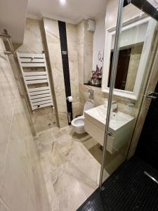 La salle de bains est pourvue d'un lavabo et de toilettes. dans l'établissement Garsoniera SARA, à Târgu Jiu