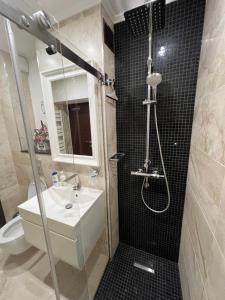 a bathroom with a shower and a sink and a toilet at Garsoniera SARA in Târgu Jiu