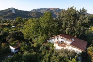 an aerial view of a house in the trees at Villa Tina in Taormina