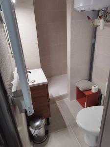 a small bathroom with a toilet and a sink at Appartement ensoleillé Manosque in Manosque