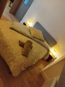 a bed with a stuffed animal on top of it at Appartement ensoleillé Manosque in Manosque +1 photo
