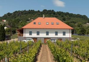 SomlóvásárhelyにあるSomló Kolonics Kúriaのブドウ畑のオレンジ色の屋根の白い家