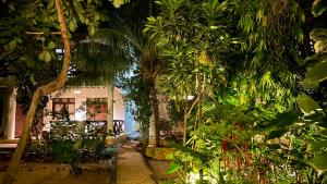 ナングウィにあるAtii Garden Bungalowsのギャラリーの写真