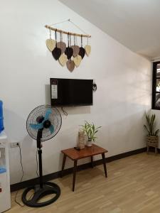 a room with a fan and a flat screen tv at Elisha's Guest House in Coron