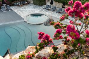 帕羅奇亞的住宿－Paros Agnanti Resort & Spa，前方的游泳池,有粉红色的花朵