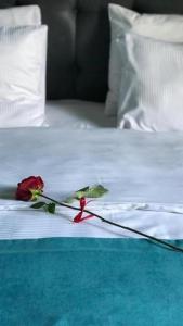 Letto o letti in una camera di Belona Hotel