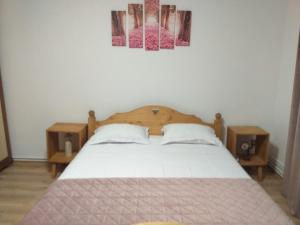 Łóżko lub łóżka w pokoju w obiekcie Pensiunea Cabana Viselor