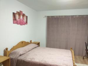 Postel nebo postele na pokoji v ubytování Pensiunea Cabana Viselor
