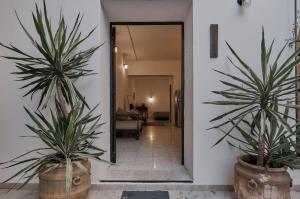 two palm trees in pots in a hallway at Céntrico Live in Oaxaca City