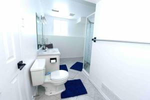 een witte badkamer met een toilet en een douche bij Adorable Spacious Inn with Indoor fireplace in Kingston