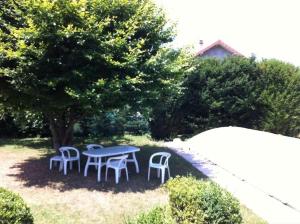 une table de pique-nique et deux chaises sous un arbre dans l'établissement Villa de 3 chambres avec piscine chauffée, à Villette-dʼAnthon