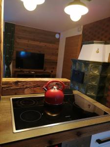 a tea kettle on a stove in a kitchen at ALMNEST - LACHTAL in Lachtal