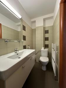 Koupelna v ubytování HOTEL ZELENÝ DVOR