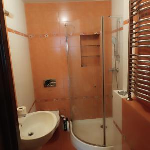 W łazience znajduje się prysznic i umywalka. w obiekcie Noclegi w Bilczy 5 km do Kielc w mieście Bilcza