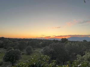 un tramonto su un campo con alberi in primo piano di Encantador chalet con piscina a Cardiel de los Montes