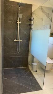 La salle de bains est pourvue d'une douche en verre et de toilettes. dans l'établissement Apartment Julia, à Podgreben