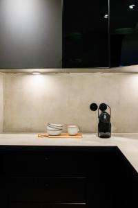 a kitchen counter with two bowls on a counter top at Le Splendide de Poincaré in Nancy