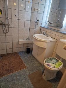 a bathroom with a toilet and a sink at Ferienwohnung "Udri" in Oberwürzbach