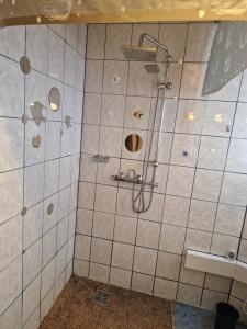 a shower in a bathroom with a tiled wall at Ferienwohnung "Udri" in Oberwürzbach