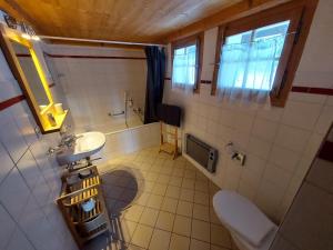 een kleine badkamer met een wastafel en een toilet bij Gîte du Prilet in Saint-Luc