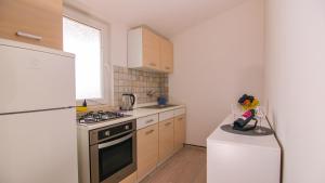 Kuchyň nebo kuchyňský kout v ubytování Apartment Zaklina 1496