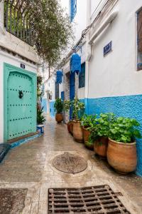 丹吉爾的住宿－Maison Ghazal，一条有蓝色和白色建筑和盆栽植物的狭窄小巷