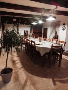 uma sala de jantar com mesa e cadeiras e uma planta em Gîte Au gré du vent - 12 personnes - Calme, nature et confort em La Goutelle