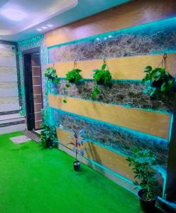 Zahrada ubytování Mini VELLA ALJWHARA