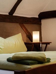 a bed with a pillow and a lamp on it at Ferienhof Bahlens-Schur in Friedland