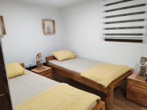 a room with two twin beds and a window at Vila Antić in Pirot