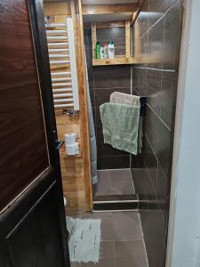 La salle de bains est pourvue d'une douche et d'une serviette verte. dans l'établissement Vila Antić, à Pirot